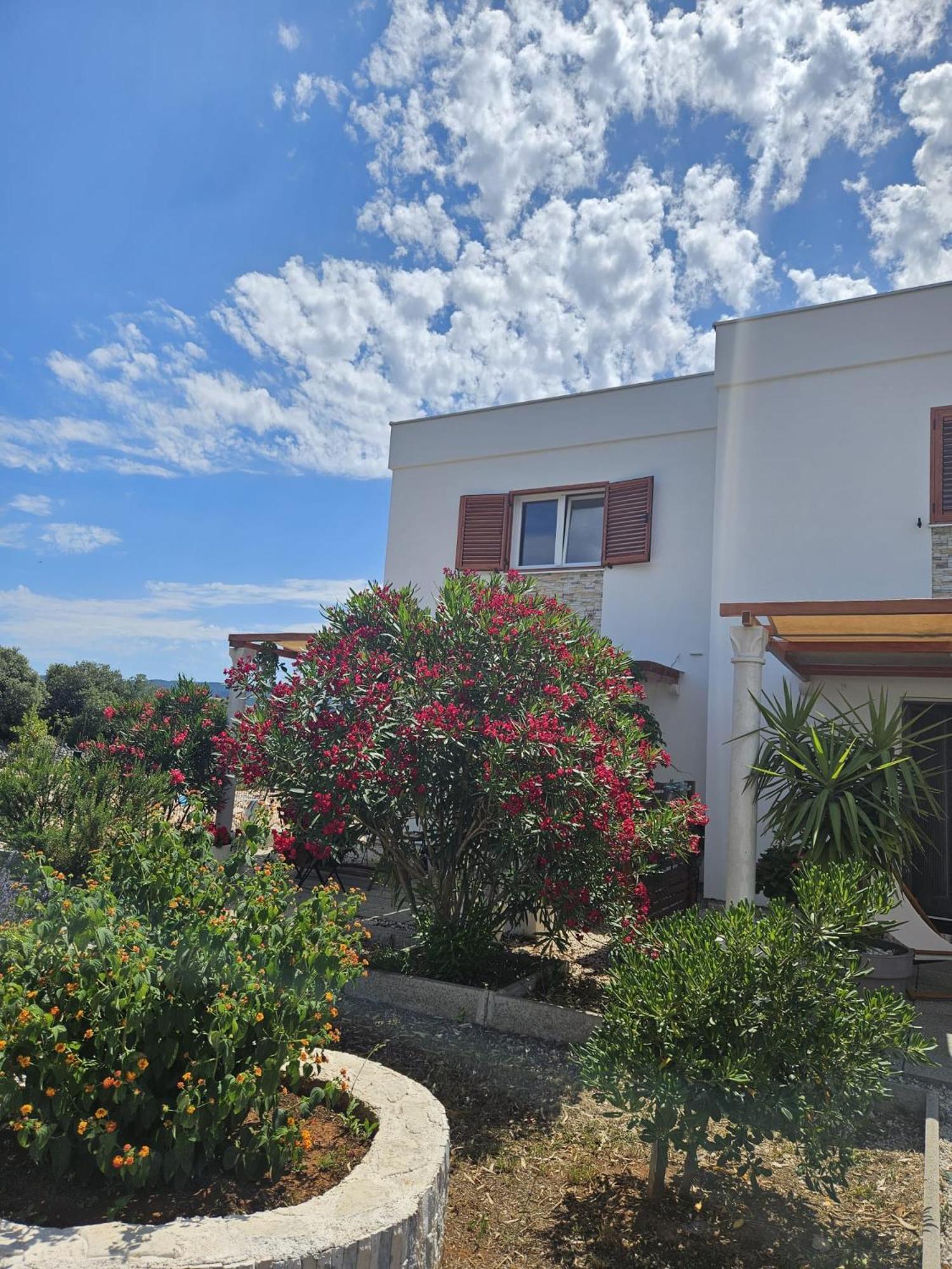 Apartments Cvijet Mora Sreser Exterior photo