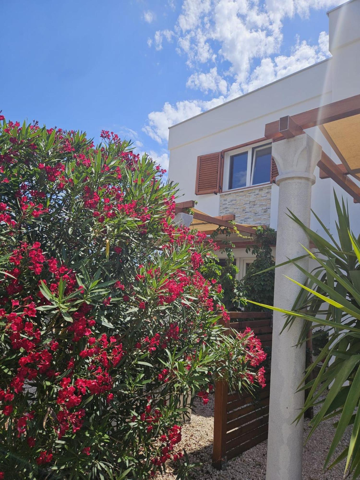 Apartments Cvijet Mora Sreser Exterior photo